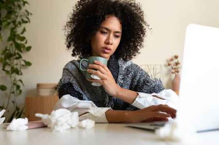 Hay fever 'hot spot' lurking in your bedroom that needs attention to avoid symptoms
