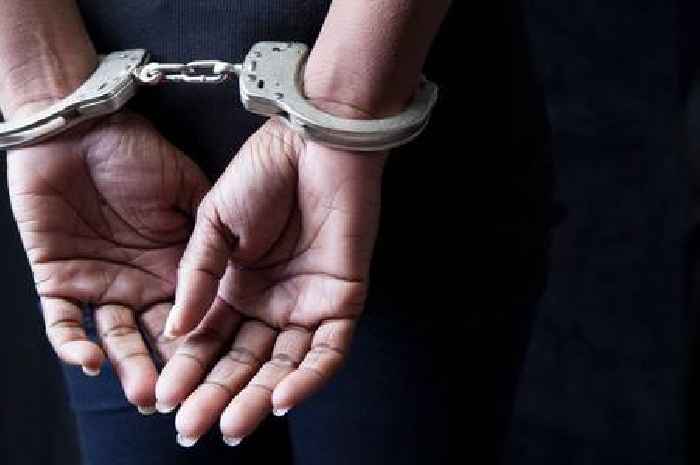 Female school teacher charged with sexually abusing Yorkshire terrier