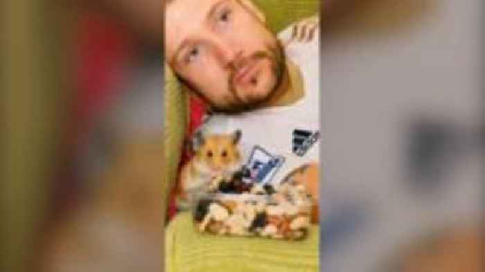 'Popcorn the hamster played cupid to help me find love'