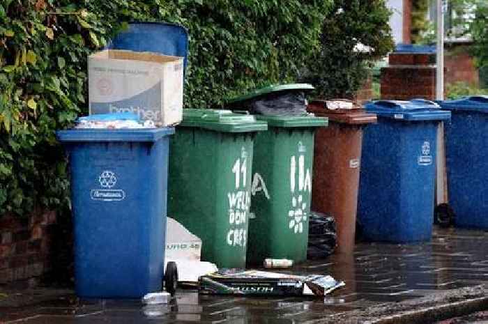 'Simple bin mistake' could land households with £300 fine