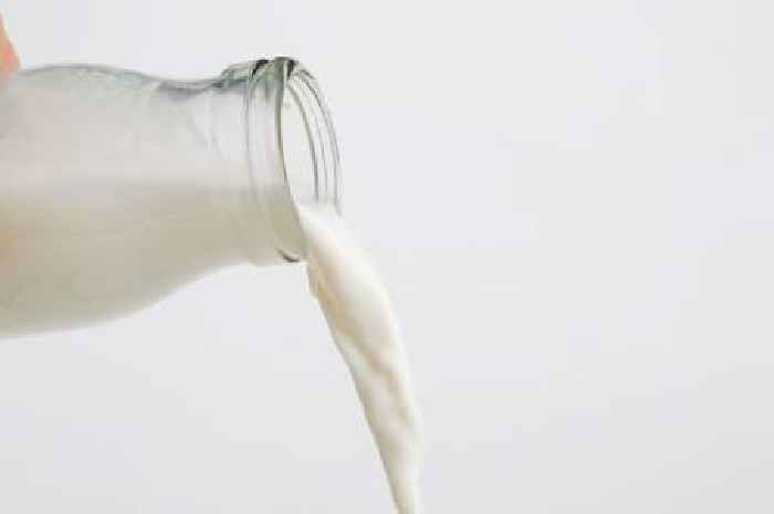 Gardeners urged to pour milk on flowers this spring to avoid common disease