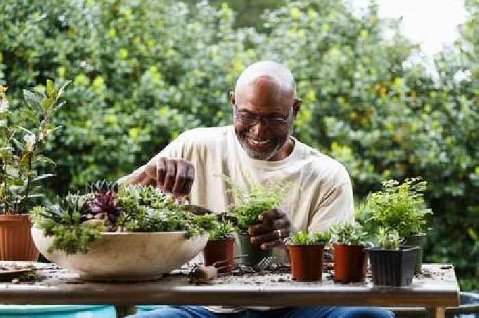 Gardener transforms outdoor space with item you'd normally throw away