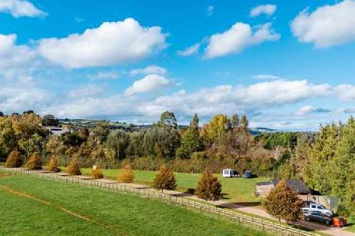 Somerset Campsite named the UK's best