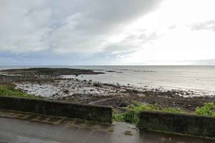 Body of man found on beach by dog walker found on beach