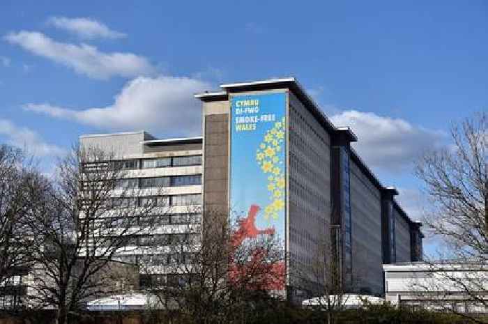 'Bullying at Wales' biggest hospital left me on brink'