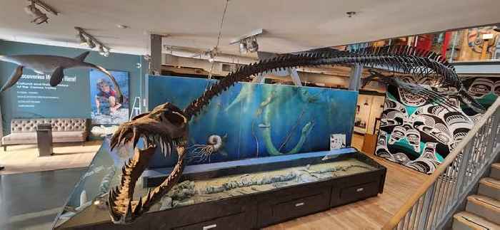 ‘Very odd’ 40-foot-long marine reptile stalked prehistoric Canada