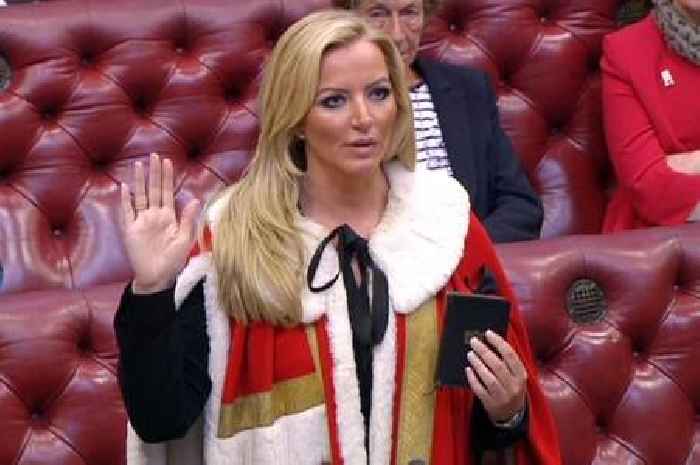 David Cameron 'lost the plot' by making PPE scandal tycoon Michelle Mone a Tory peer