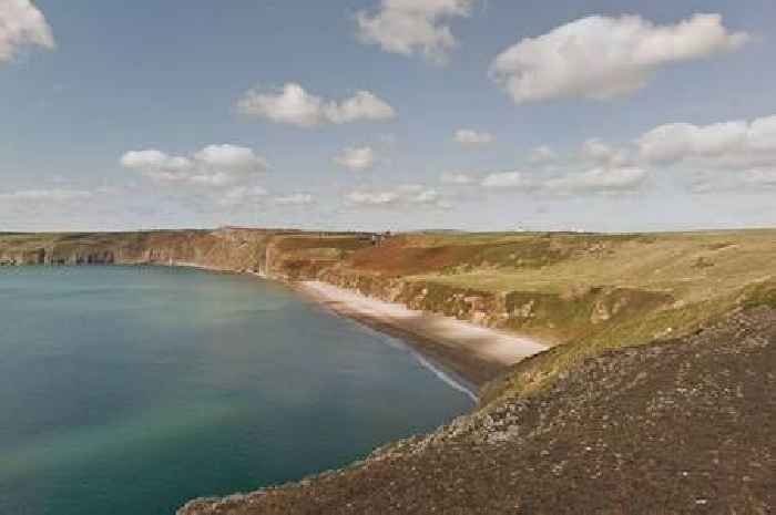 'Almost secret' beach where dolphins are regularly spotted with 'best waves'