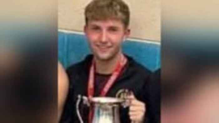 Pedestrian who died after being hit by car named