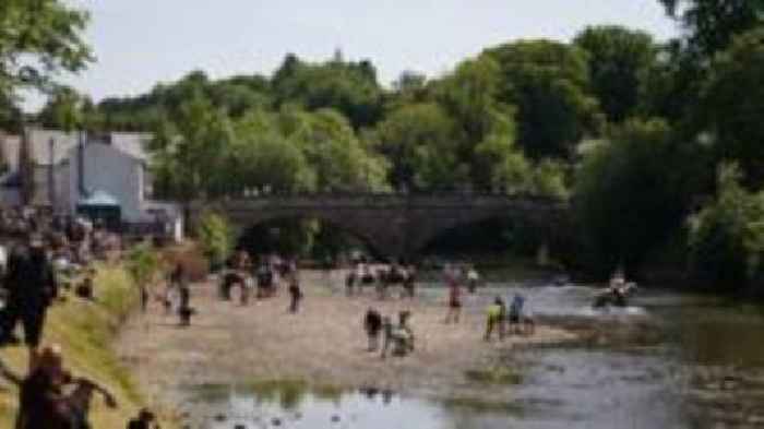 Dry weather concern for horse fair, warns RSPCA