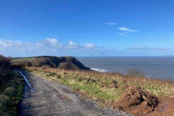Beach wheelchairs and new trails are changing lives in North Devon