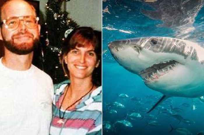 Missing couple abandoned in shark-infested waters left chilling diary entries behind