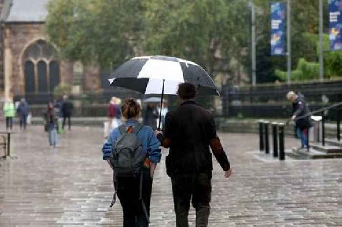 Flood alerts issued for large area of Welsh coastline as heavy rain and high winds hit