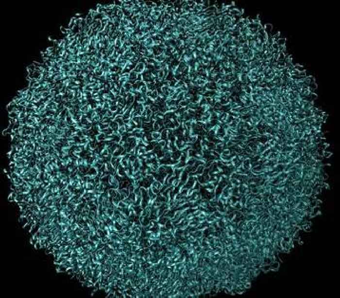 Foreign Office issues update on infectious disease warning in European holiday spot