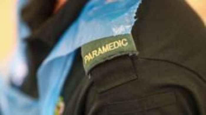 Paramedic who 'exploited student for sexual gratification' struck off