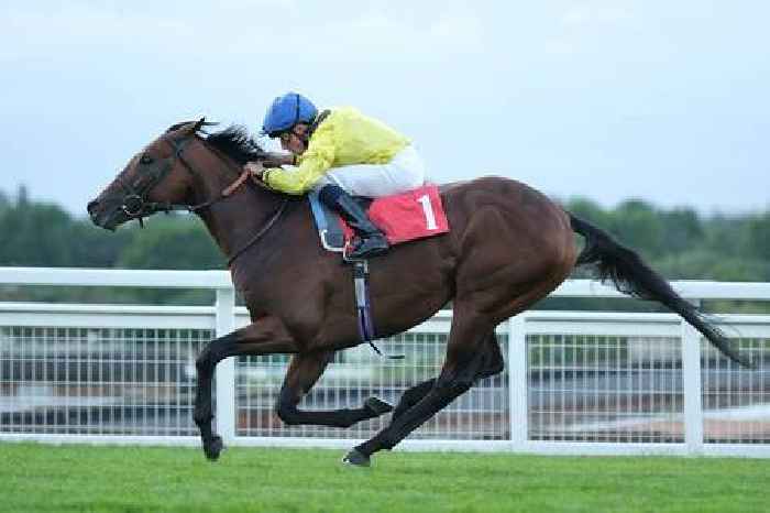 Almaqam can Star in Brigadier Gerard
