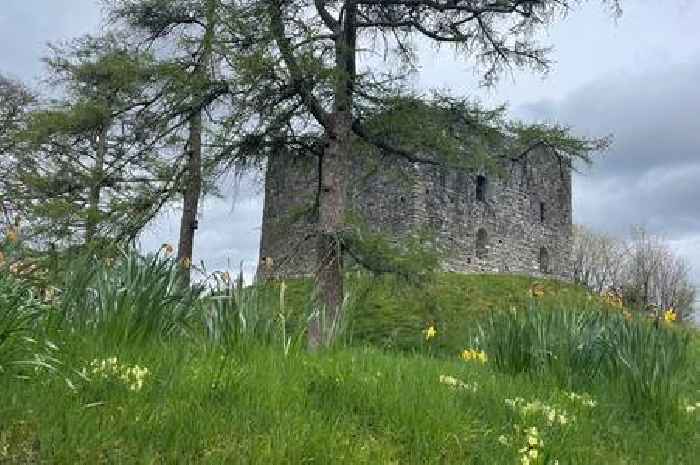 Historic Devon castle targeted by illegal metal detectorists
