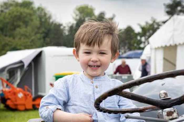 Royal Bath and West Show half-term show packs thrill rides and tail wags