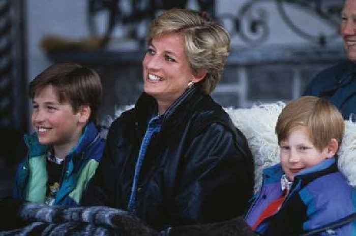 Princess Diana's five-word compliment to Prince William is 'bang on' decades after tragic death