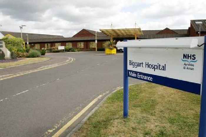 Charity group celebrates positive review after unannounced spot check