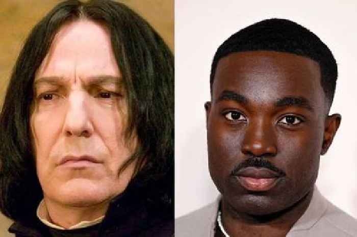 Harry Potter's new Snape had a huge Netflix role you probably missed