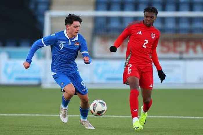 Craig Bellamy announces Wales squad for World Cup qualifiers as uncapped Cardiff City teen included
