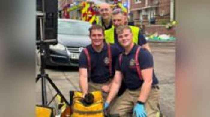 Woman arrested after cat revived following fire