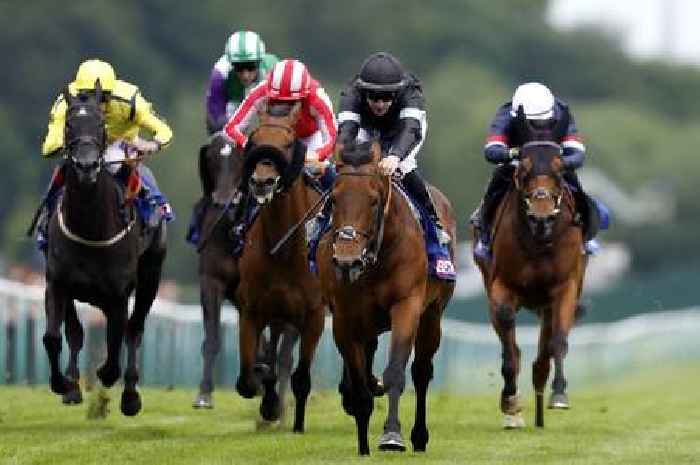 'He could have a big future' – Friday's racing tips including the evening meeting at Haydock