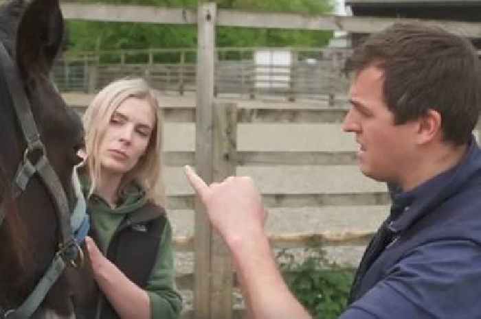 The Yorkshire Vet star voices concerns after emergency show moment