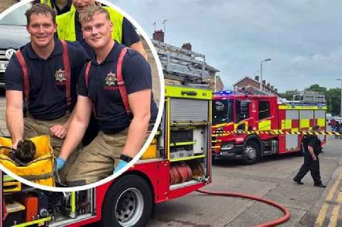 Firefighters revive trapped cat following Leicester flat fire