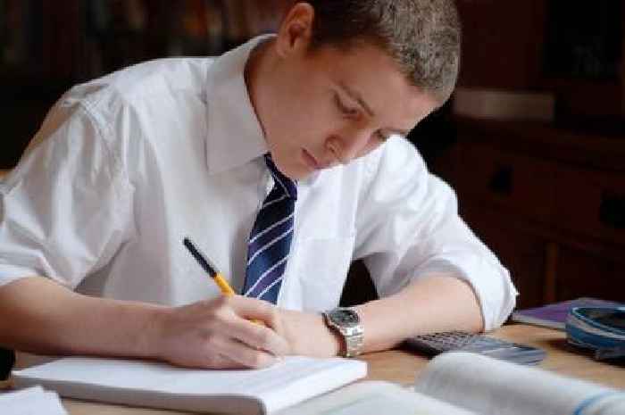 'I'm a dietitian - what to eat before exams to maximise brain power'