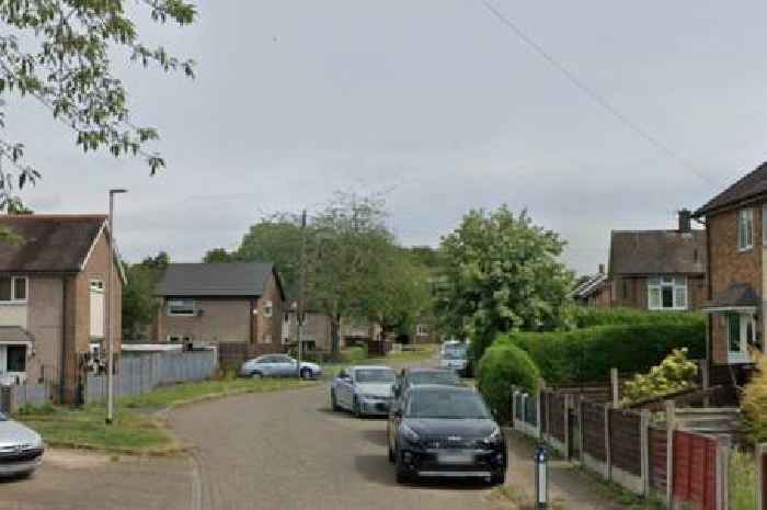 Baby and two others rushed to hospital after dog attack as armed cops swarm