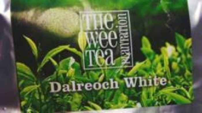Fraudster made £550,000 selling fake 'Scottish-grown tea'