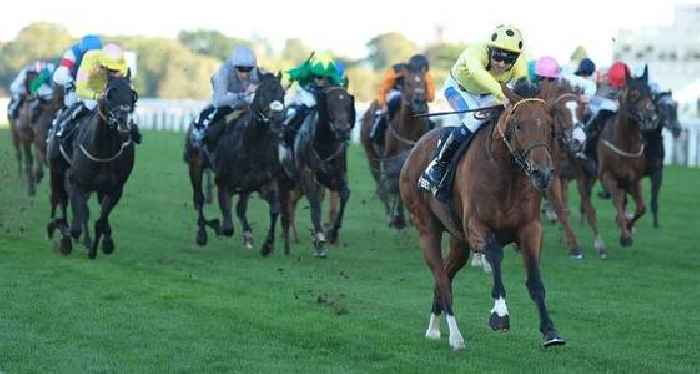 '16-1 shot could do the business at Haydock' – All Saturday's racing tips