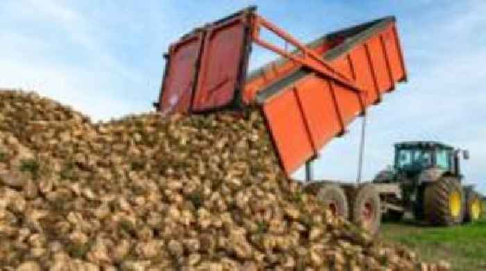 British Sugar given £7.5m to help cut carbon emissions