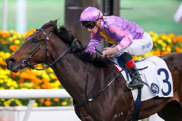 Johannes Brahms can take Express route to victory for Ng