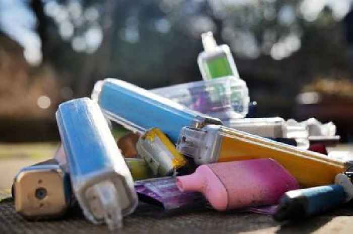 Disposable vape ban introduced this weekend as woman behind it branded 'hero'