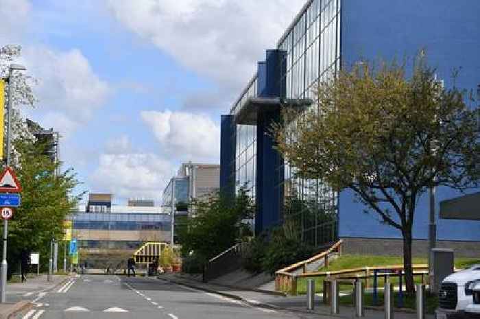 University of Surrey voted by students as second best in the UK for career prospects