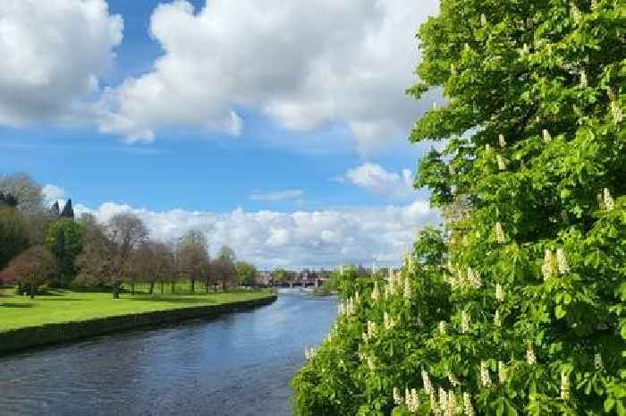 Dumfries and Galloway river levels begin to recover as dry spell ends