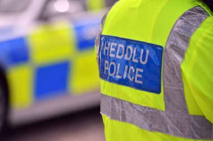 Two men arrested after police manhunt