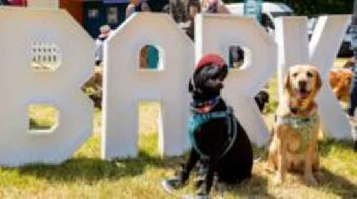 Dog festival creates own beach amid UK pooch ban