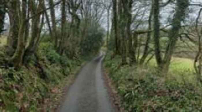 Driver in hospital after hedge crash
