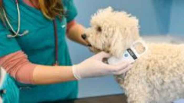 Warning to check microchip details or face fine