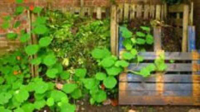 Islanders asked what makes their gardens grow