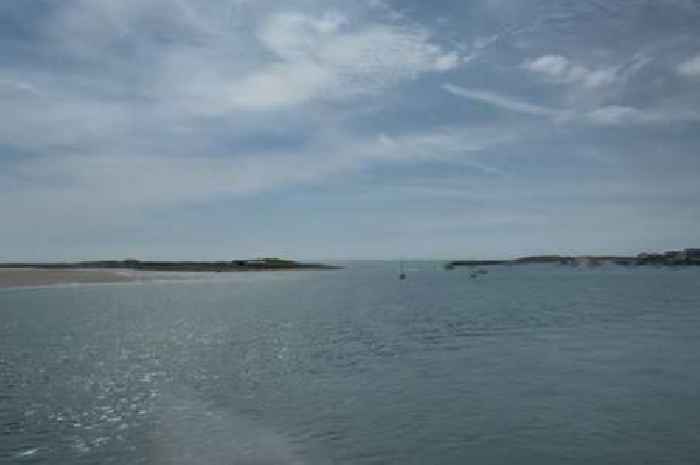 I tried 'the best' Birmingham to beach train journey where you can see dolphins playing in the sea