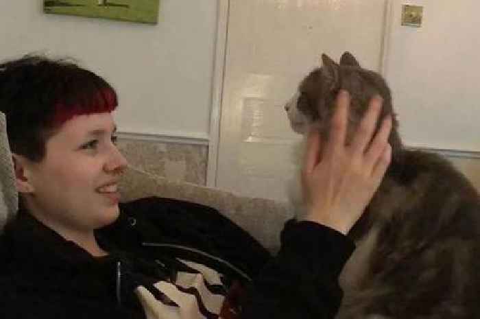 Essex woman 'begged for help' from mental health teams before taking her own life