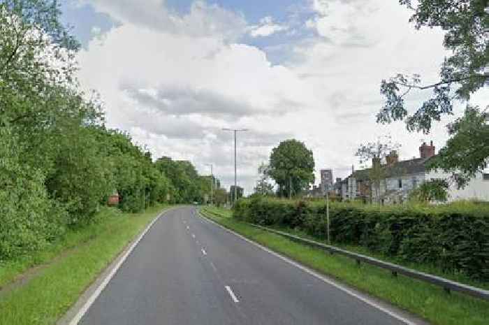 Police search for driver of hit-and-run as car with tinted windows flees scene of crash