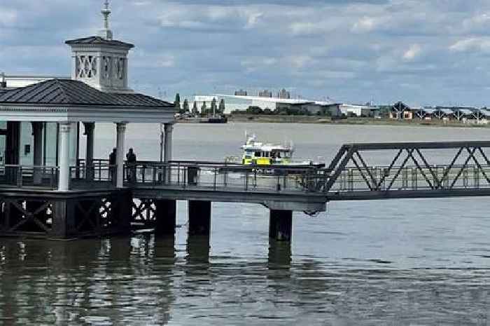 Body found in search for missing girl who disappeared in River Thames