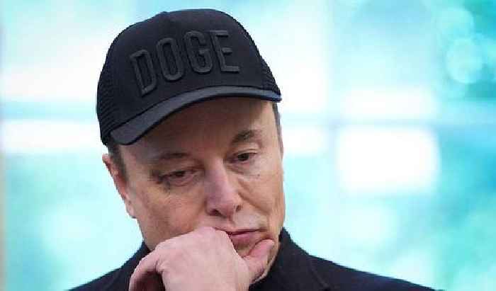 News24 | Musk vows to stay Trump's 'friend' in bizarre black-eyed farewell
