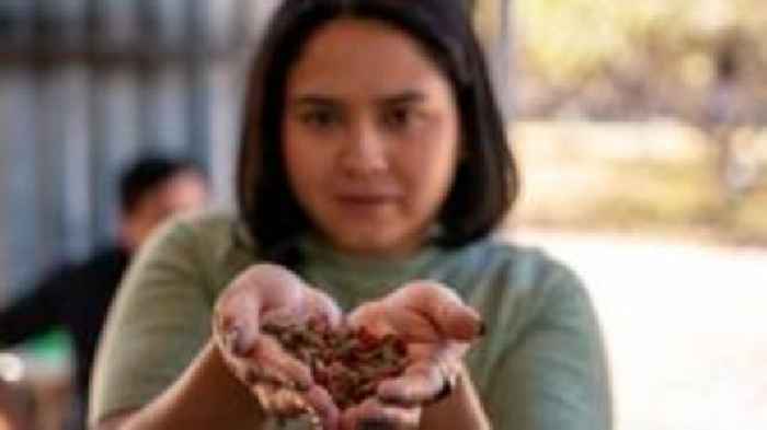 Turning used cooking oil into soap in a country where deep-fried foods rule